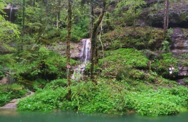 Au charmant chablis - Foto 28