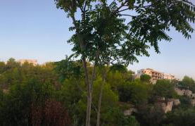 Casa Vacanza Japigia - Foto 8