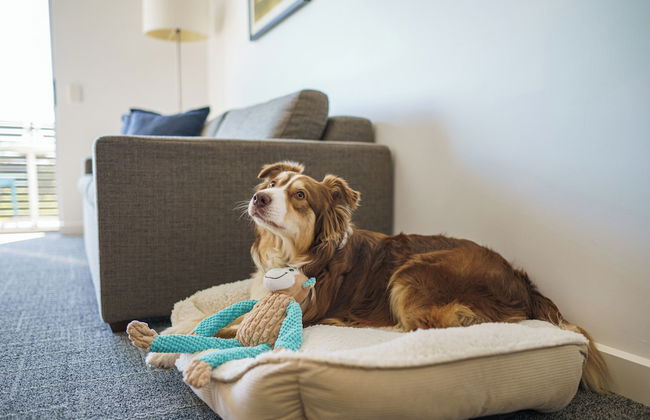 MainStay Suites Whyalla - Foto 80