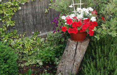 Apartments Barbara - Photo 26