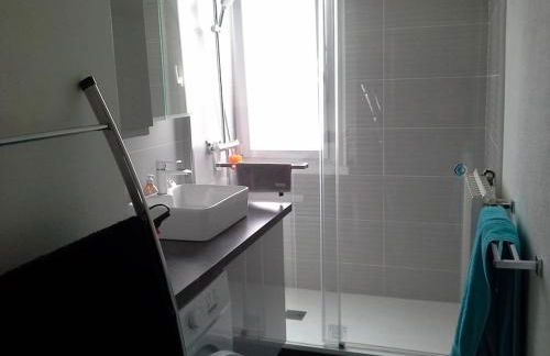 Appart Décines Eurexpo Groupama LDLC Aréna St Ex - Foto 15