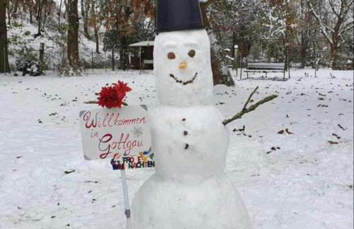 Ferienwohnung Monteurwohnung Apartment Wettin-Löbejün - Foto 15