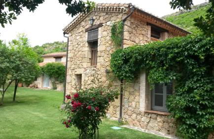 Abejas 1 de El Vergel de Chilla - Foto 5