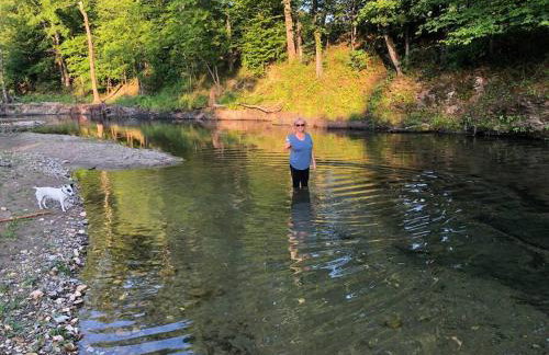 Liberty Cabin on Collier Creek - Foto 11