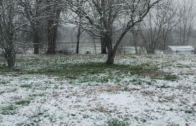 The Murray Bridge House - Foto 17