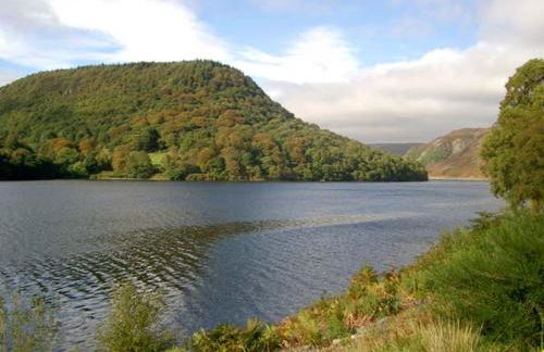 Tailor's Cottage - Photo 10