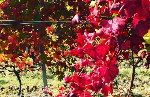 La casa di Noah - Photo 37