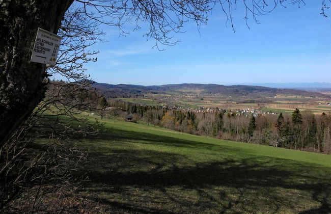 Apartment With Swimming Pool - Foto 23