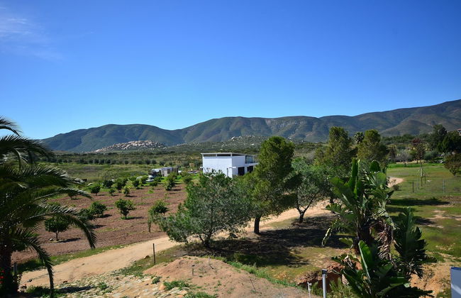 Wine country In Valle de Guadalupe - Foto 16