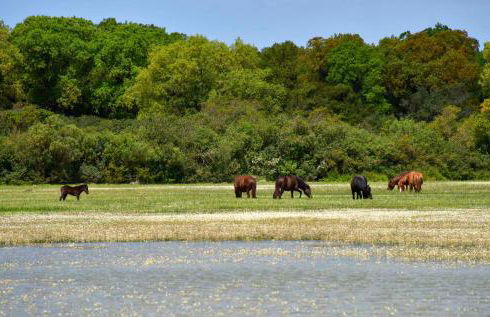 Appartamento Vacanza - Foto 19