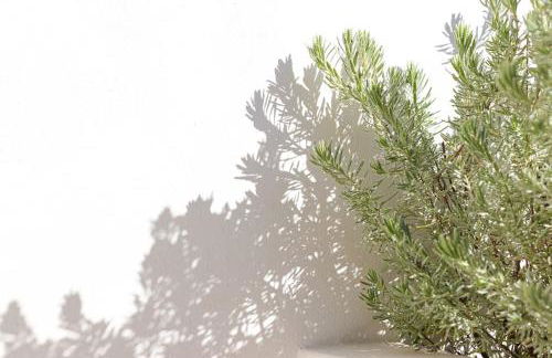 Koroneia Residence - Foto 10