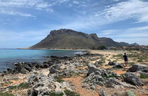 Grey House - Foto 76