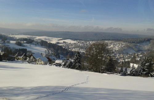 Ferienwohnung Döhlerwald - Photo 13