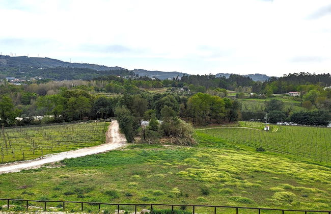 Quinta do Burgo - Foto 47