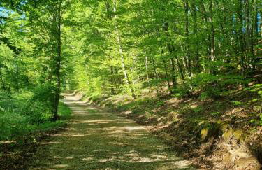 Kuća za odmor Borna - Foto 13