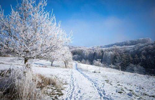 Idyllisches Häuschen im Grünen - Foto 63