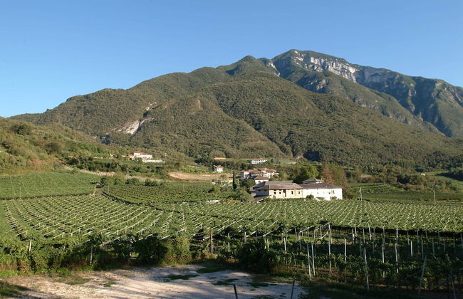 Locanda del Bel Sorriso - Villa Bertagnolli Guest House - Photo 55