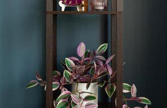 Southern Exposure - Foto 13