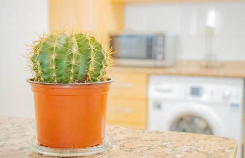 MojacarProperty, Apto Los Llanos - Foto 38