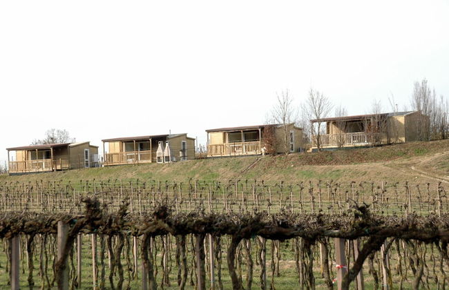 Agriturismo San Leone - Photo 58