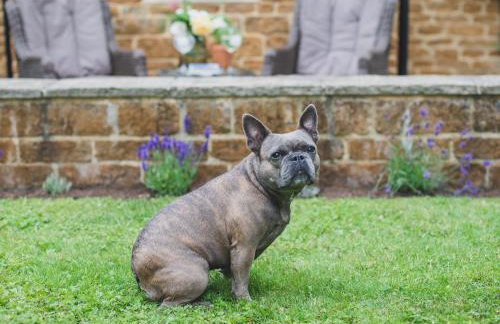Climbing Rose Cottage - Dog Friendly - Peaceful Cotswold Cottage - Photo 42