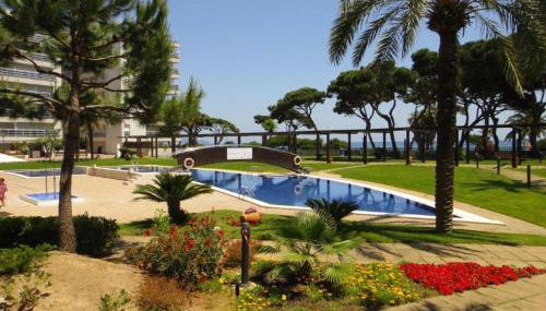 Beachfront Apartment with Pool and Garden S Abanell Blanes - Foto 2, Garden