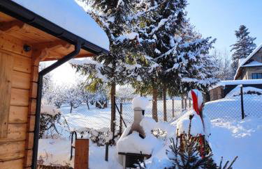 Borowikowe Zacisze drewniane domy z kominkami - Foto 79