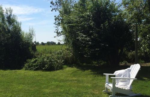 Großer Wattläufer - Foto 19