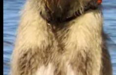 SchöneWohnung mit eigenem Gsrten und Eingang - Foto 22