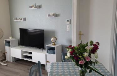 Appartement Au Cigogneau Wifi-Netflix-Balcon-Parking - Foto 8