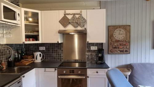 Duplex lumineux 6/7 pers, accès pistes, WIFI, animaux acceptés - FR-1-181-2836 - Foto 3