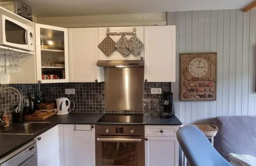 Duplex lumineux 6/7 pers, accès pistes, WIFI, animaux acceptés - FR-1-181-2836 - Foto 3