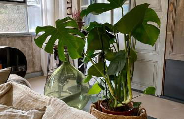 Un Autre Monde - Foto 38