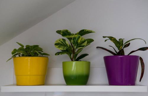 Sunny day apartments - Foto 9