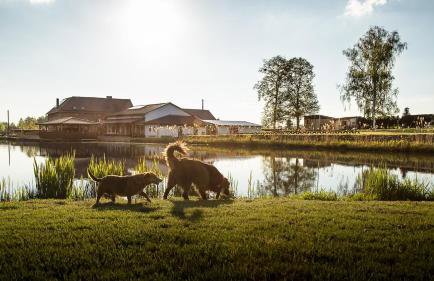 Tawerna Pod Kotwicą pokoje i domy wakacyjne - Foto 1