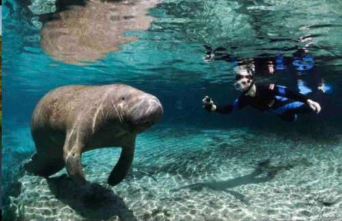 Relaxing Citrus Hills Townhouse Pool/Tennis/Golf - Foto 39