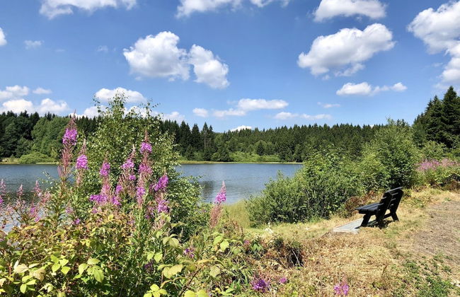 Ferienhaus mit Terrasse, Haustierfrei - Foto 22