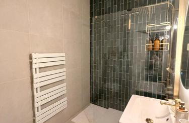 Appartement Jazz - Hyper Centre Vienne - Garage - Foto 10