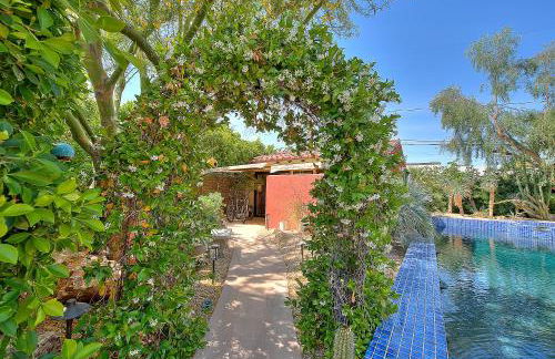 Cactus Fountain - Foto 28