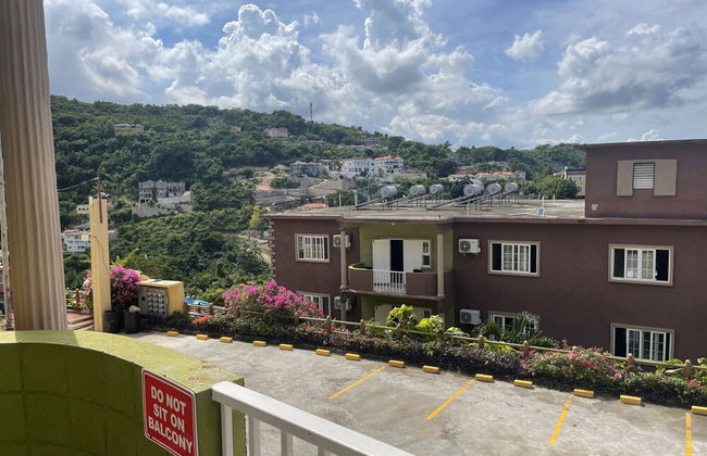 Pirate Palms - Foto 23