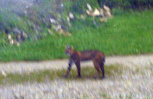 Nantahala Spiritual Retreat - Remote and Peaceful! - Foto 34