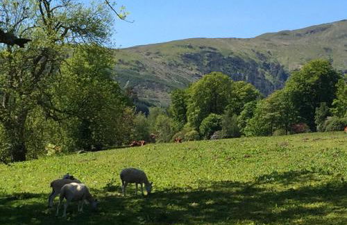 Leny Estate - Photo 43