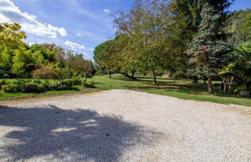 Les palmiers - Foto 20