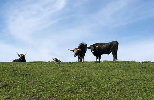 Casa Rio Cubas - Foto 44