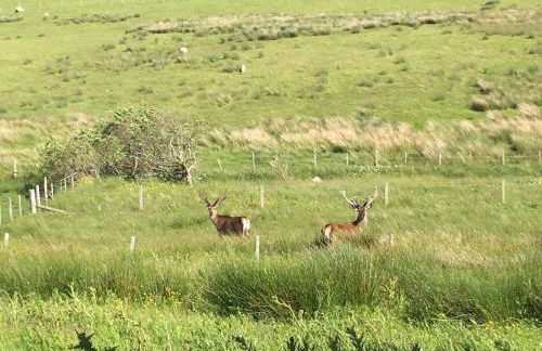 Cape Wrath Lodge - Foto 13