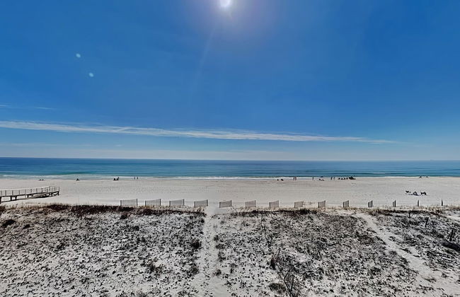 So Shell Distancing - Photo 24