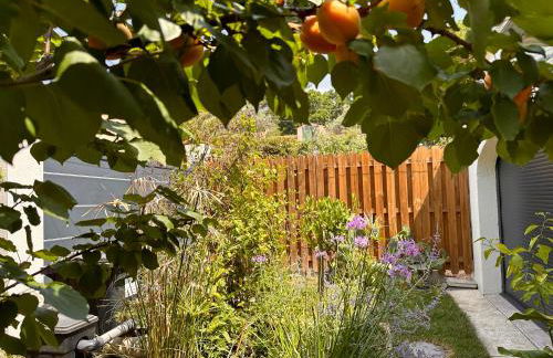 Villa Gecko - Foto 21