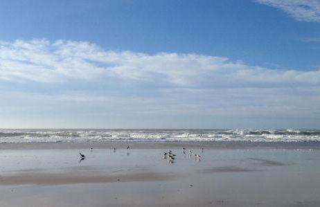 Maison chaleureuse climatisée à Maubuisson, proche lac - Foto 18