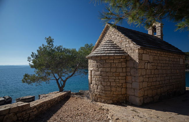 Olive Eden - Foto 34