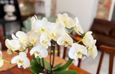 Antica Dimora Polpenazze - Foto 13